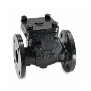CR-31 Cast Iron Reflux Valve (Swing Check Type) Non Return Valve, Straight Type