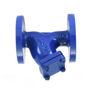 CI-16B Cast Iron Y Type Strainer Flanged