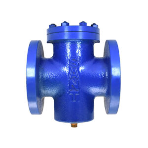 CI-19 C.I. T Strainer Flanged, Class-150