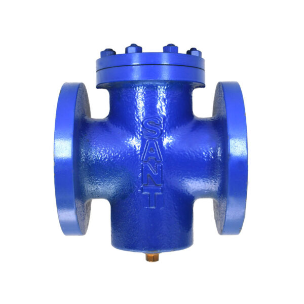 CI-19 C.I. T Strainer Flanged, Class-150