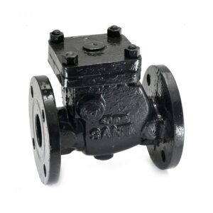 CR-31A Cast Iron Reflux Valve (Swing Check Type) Non Return Valve, Straight Type