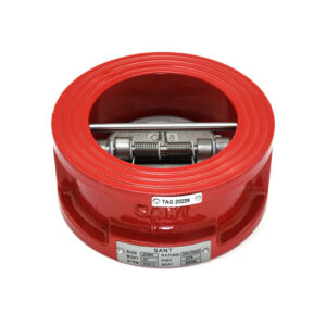 DP2 Dual Plate Water Check Valve