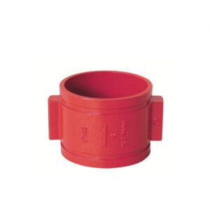 DH87X - Double Door Grooved Check Valve