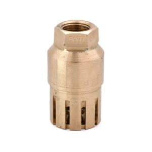 IS-21 Bronze Foot Valve , Screwed