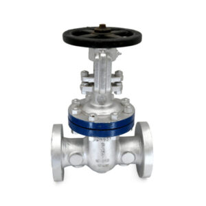 CS-7B Cast Steel Gate Valve