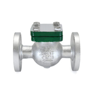 CS-8 Cast Steel Swing Check Valve