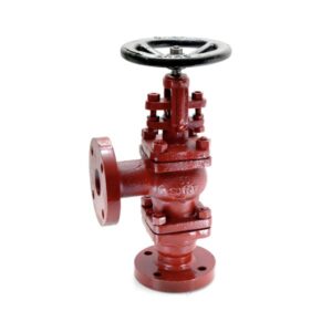 CS-5 Cast Steel Accessible Feed Check Valve Flanged (IBR Approved)