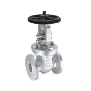 CS-7 Cast Steel Gate Valve Flanged, Class-150 (IBR Approved)