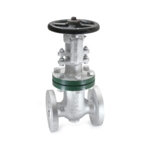CS-7A Cast Steel Gate Valve Flanged, Class-300 (IBR Approved)