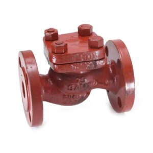 CS-2 Cast Steel Horizontal Check Valve PN 40 (IBR Approved)