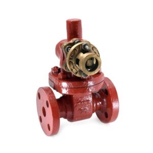 CS-4 Cast Steel Parallel Slide Blow off Valve