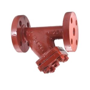 CS-3 Cast Steel Y-Type Strainer Flanged (IBR Approved)