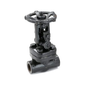 FSV-8A Forged Steel Gate Valve