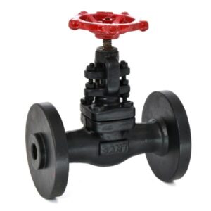 FSV-12 Forged Steel Globe Valve